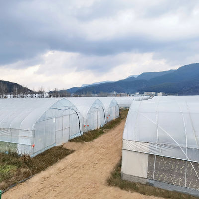 2.5-5M 높이 토마토 수식 고터널 농업 필름 덮개로 온실