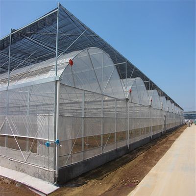 4.0-8.0M 높이 농업 토마토 턴키 프로젝트용 다발성 플라스틱 필름 온실