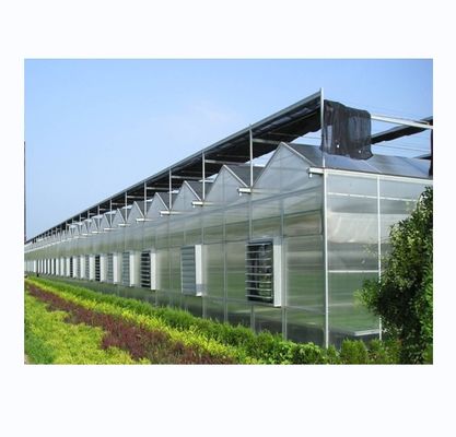 견고하고 큰 온실 농업 가연제철 프레임과 폴리카보네이트