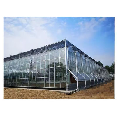 야채 재배를 위한 이상적인 해결책인 대형 베놀 유리 온실