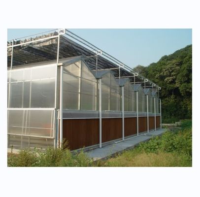 수식 시스템과 8mm PC 시트 커버가 있는 상업용 농업 온실