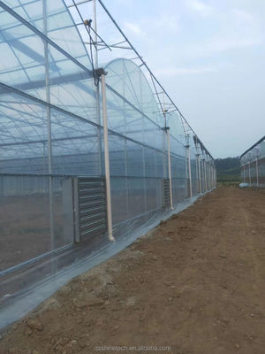 산업용 수식 온실과 슈퍼 강 저항 멀티 스판 온실