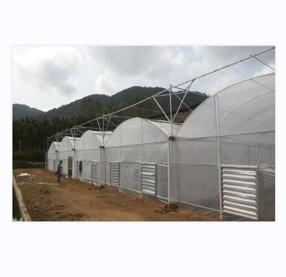 150/200 마이크로 커버 PE 멀티 스펜 필름 온실 토마토 재배 농업