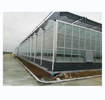 슈퍼 강 저항 벤로 유리 온실 상업 농업 턴키 프로젝트