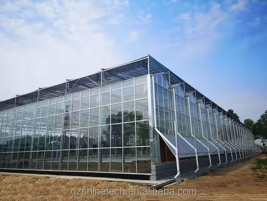 슈퍼 강 저항 벤로 유리 온실 상업 농업 턴키 프로젝트