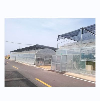 4.0-8.0M 높이 농산물 복수 팽창 필름 온실