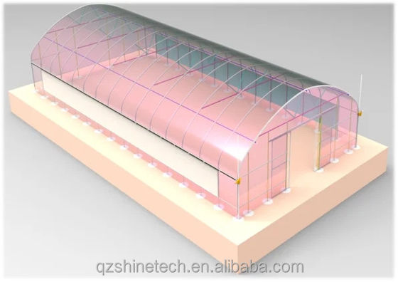 필름 커버 50x8m 싱글 스펜 타입 농업 터널 온실 높이 3.5-5M