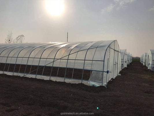 필름 커버 50x8m 싱글 스펜 타입 농업 터널 온실 높이 3.5-5M