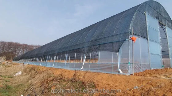 필름 커버 50x8m 싱글 스펜 타입 농업 터널 온실 높이 3.5-5M