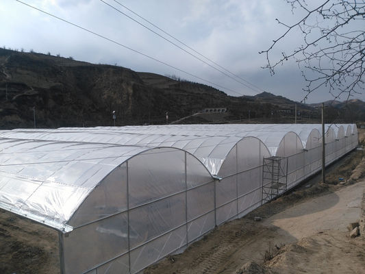 핫 디프 젤리 튜브 프레임 멀티 스판 농업 온실