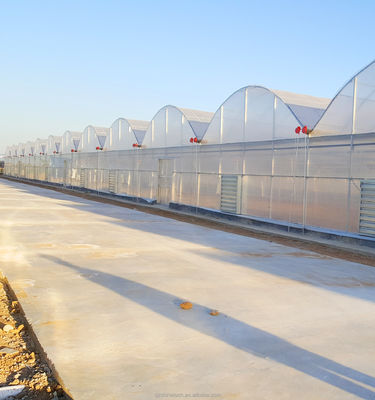 맞춤형 크기 다단계 농업 온실