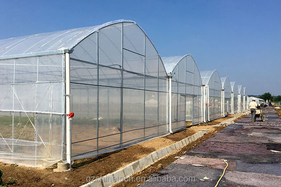 맞춤형 크기 다단계 농업 온실