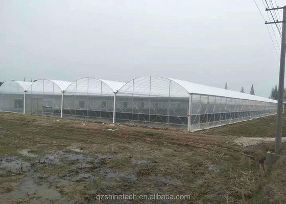 맞춤형 크기 다단계 농업 온실