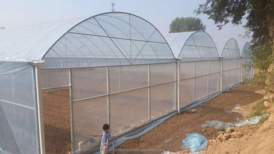 초강성 저항 농업 채소 재배를 위한 다차원 온실 프레임