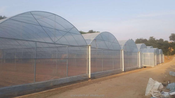 초강성 저항 농업 채소 재배를 위한 다차원 온실 프레임