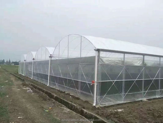 초강성 저항 농업 채소 재배를 위한 다차원 온실 프레임