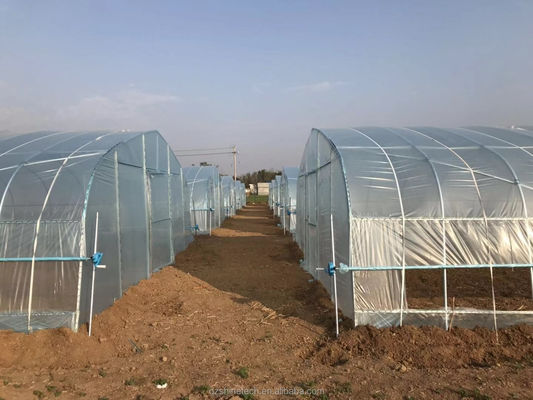 환기 된 열 담긴 진열 철강 파이프 프레임 터널 농업 필름 온실