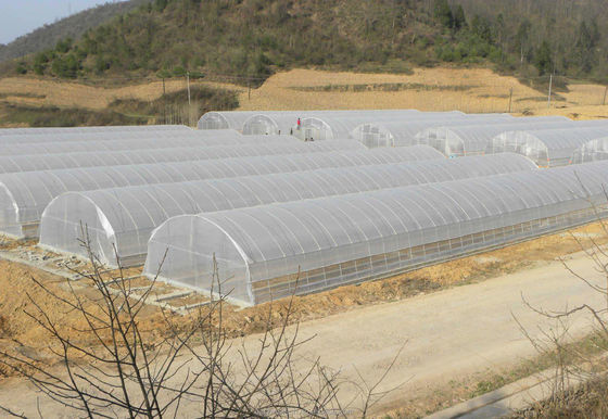 환기 된 열 담긴 진열 철강 파이프 프레임 터널 농업 필름 온실
