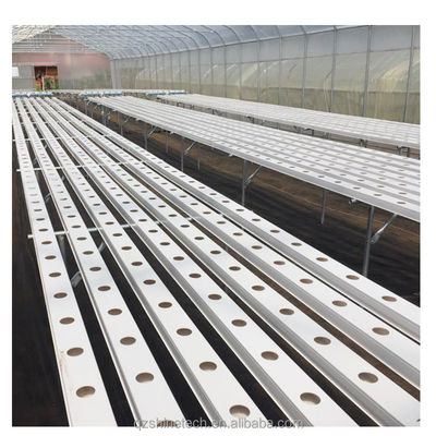환기 된 열 담긴 진열 철강 파이프 프레임 터널 농업 필름 온실