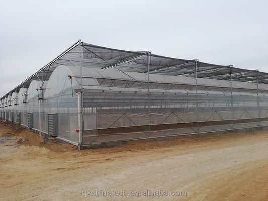 선택적 냉각 시스템과 함께 큰 다발식 농업 필름 온실