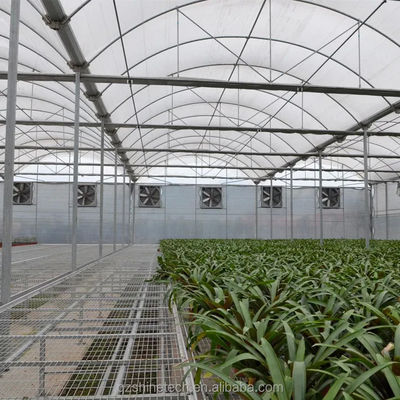 선택적 냉각 시스템과 함께 큰 다발식 농업 필름 온실
