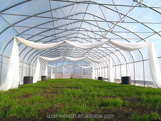 그림 쉐인 테크 단일 스펜 터널 농업 온실