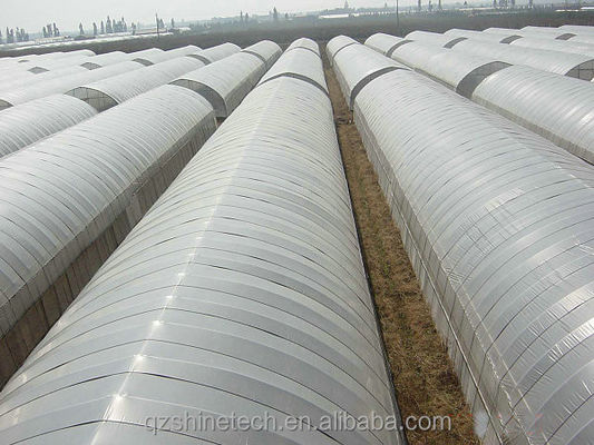 그림 쉐인 테크 단일 스펜 터널 농업 온실