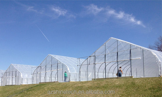 그림 쉐인 테크 단일 스펜 터널 농업 온실
