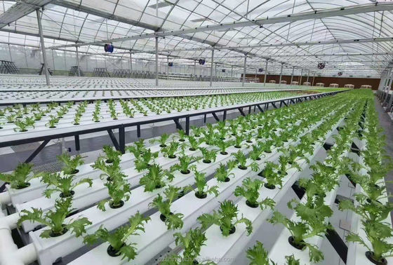 수식식 시스템 100*50mm NFT PVC 파이프 흰색 액세서리로 수직 농장