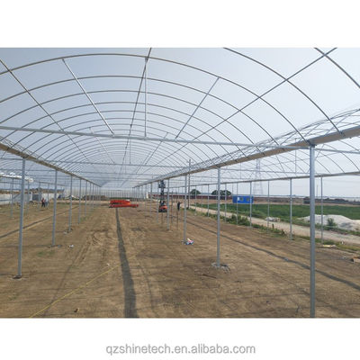 8m Span Width Multi Span 농업용 토마토 온실 냉각 시스템
