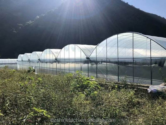 8m Span Width Multi Span 농업용 토마토 온실 냉각 시스템