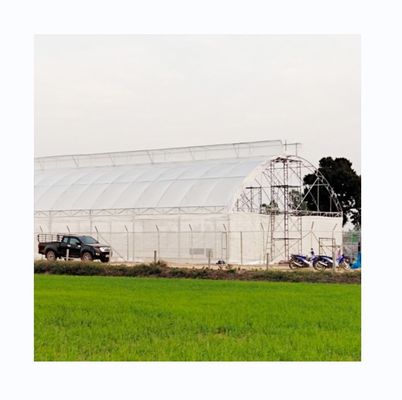 200 미크론 자외선 보호 PE 필름 토마토와 구마 재배용 싱글 터널 온실