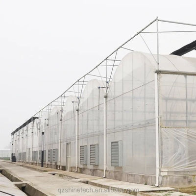 8m Span Width Multi Span 농업 온실 다양 한 농업 솔루션