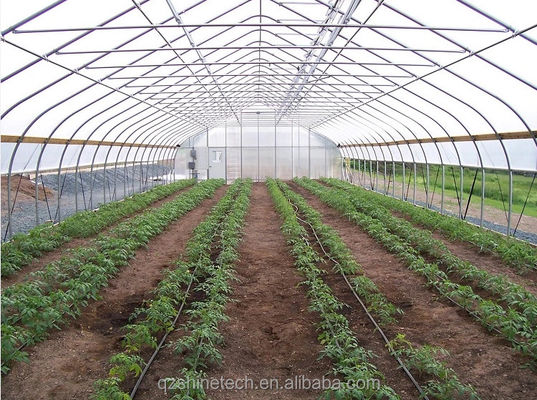 고온 밸런제 스틸 튜브 일층 필름 플라스틱 터널 농업 온실