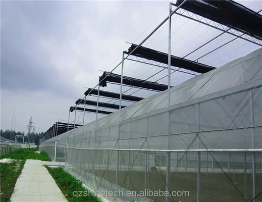 PE 필름 덮개와 하천 연결과 함께 다발 농업 온실