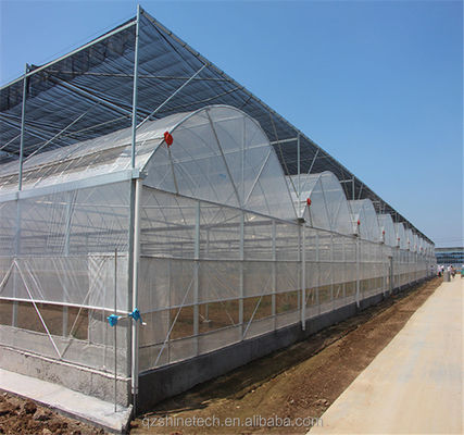 농업용 멀티 스판 폴리 필름 온실 선택적 냉각 및 관개 시스템
