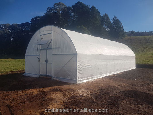 300 평방 미터 오징어 온실 단일 스판 터널 설계