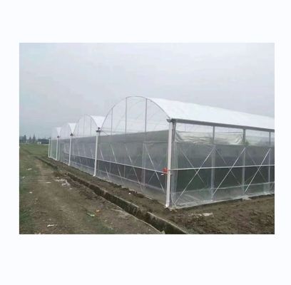 채소 및 꽃 재배를 위한 150/200 미크론 플라스틱 필름 멀티 스펜 온실