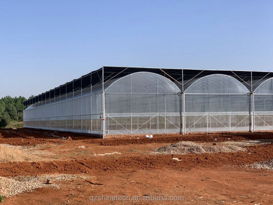 상업용 멀티 스펜 필름 온실