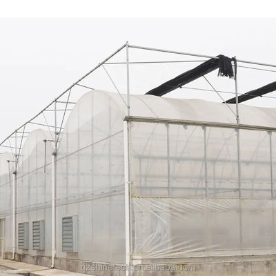 상업용 멀티 스펜 필름 온실