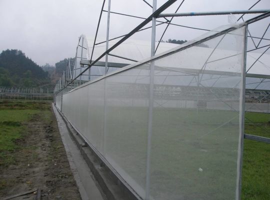 30-150G 온실 그림자 망 HDPE 자외선 보호 및 해충 퇴치를 위한 곤충 방지 망